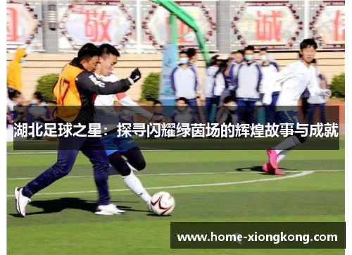 湖北足球之星：探寻闪耀绿茵场的辉煌故事与成就