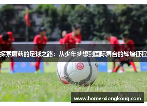 探索蘑菇的足球之路：从少年梦想到国际舞台的辉煌征程